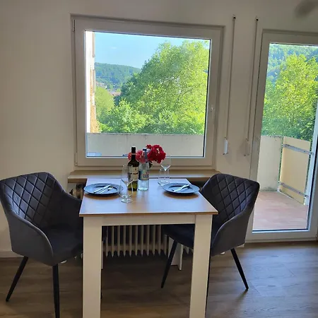 Gemuetliche Einzimmerwohnung Appartement *